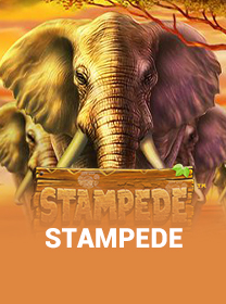 Panduan Bermain Stampede di Android Terlengkap